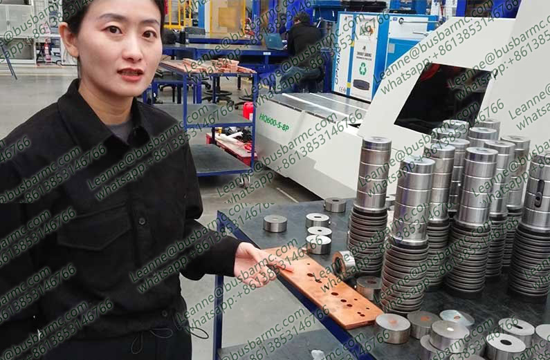 ماكينة قضبان التوصيل تخريم die Mold Parts